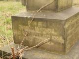 image of grave number 432578
